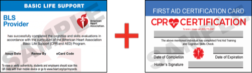 Sample American Heart Association AHA BLS CPR Card Certification and First Aid Certification Card from CPR Certification Carrollton
