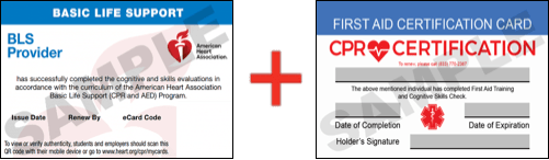 Sample American Heart Association AHA BLS CPR Card Certification and First Aid Certification Card from CPR Certification Denton