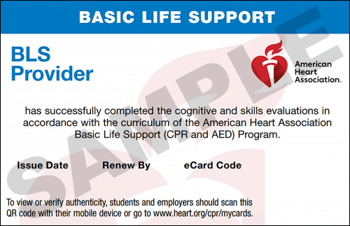 Sample American Heart Association AHA BLS CPR Card Certification from CPR Certification Frisco
