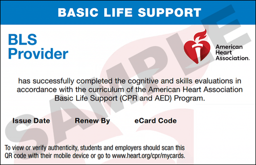 Sample American Heart Association AHA BLS CPR Card Certification from CPR Certification Grapevine