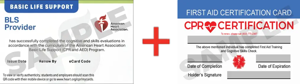 Sample American Heart Association AHA BLS CPR Card Certificaiton and First Aid Certification Card from CPR Certification Dallas