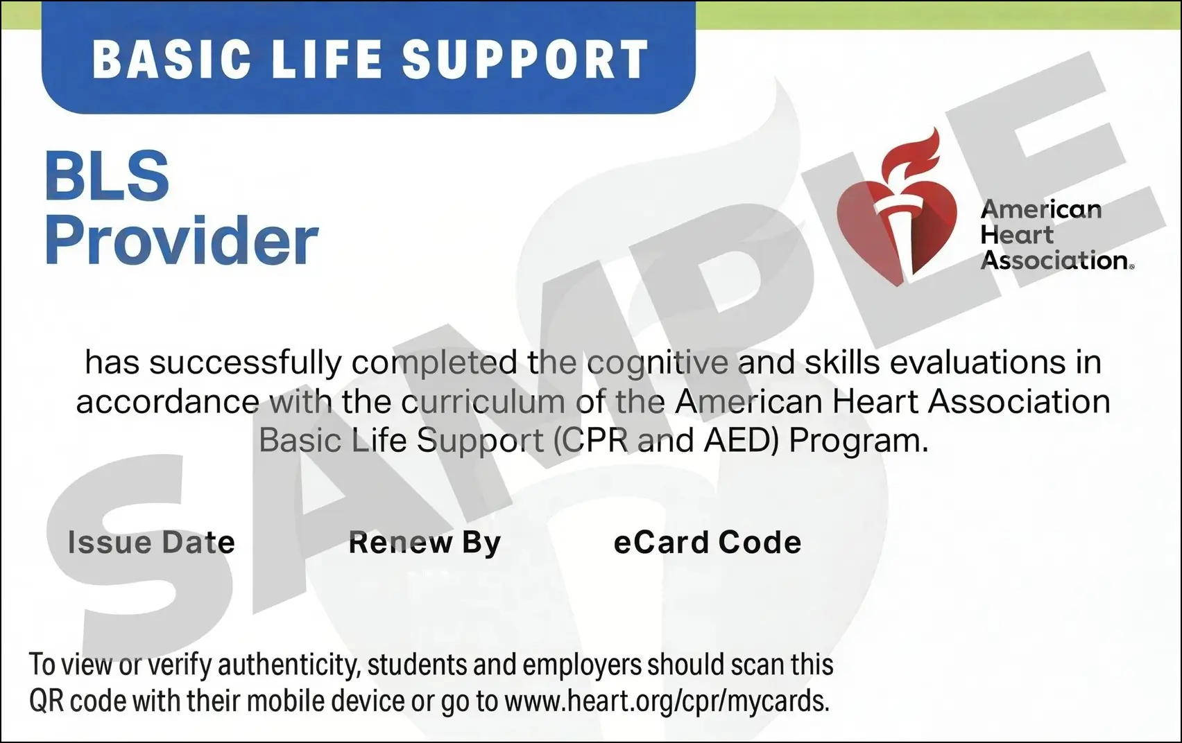 Sample American Heart Association AHA BLS CPR Card Certification from CPR Certification Dallas